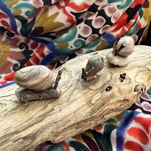 Miniature Stone & Fossil Snails for Fairy Gardens, Planters or Children’s Pet